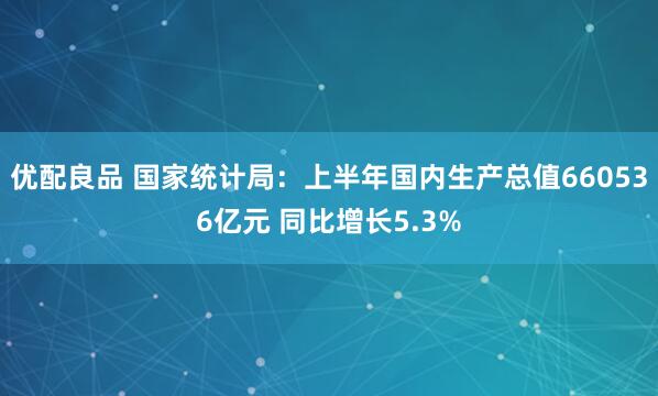 优配良品 国家统计局：上半年国内生产总值660536亿元 同比增长5.3%