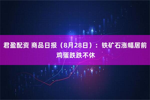 君盈配资 商品日报（8月28日）：铁矿石涨幅居前 鸡蛋跌跌不休